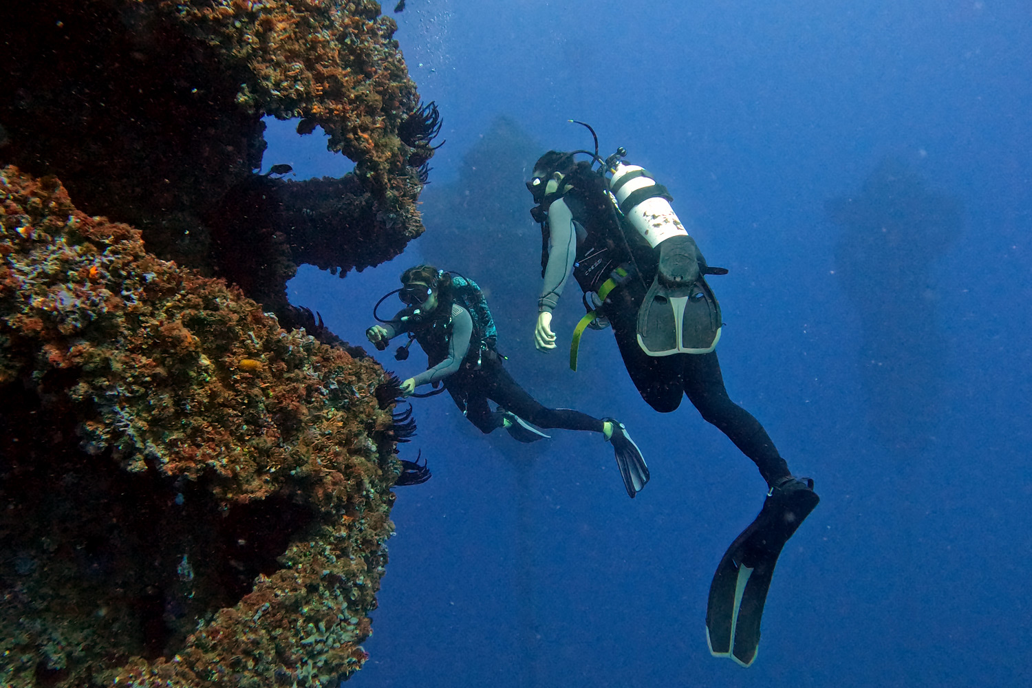 Two divers at the edge of a coral covered Reef Flute