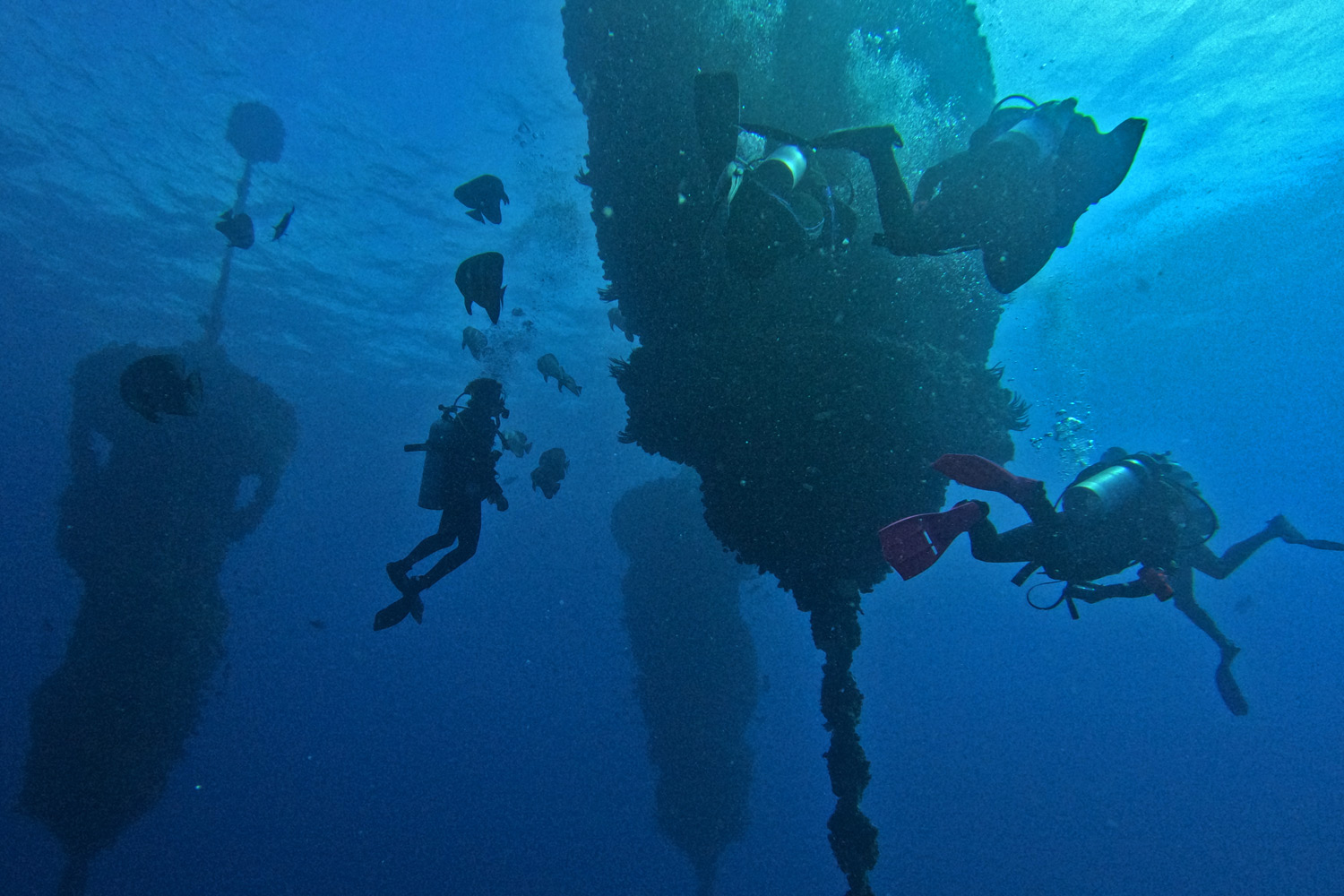 A group of three reef structures and divers with fish